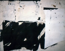 1964 Collage 11x14 64-c-12 coll Raimondi